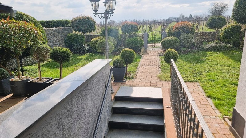 Gartenansicht Doppelhaush�lfte Oestrich-Winkel