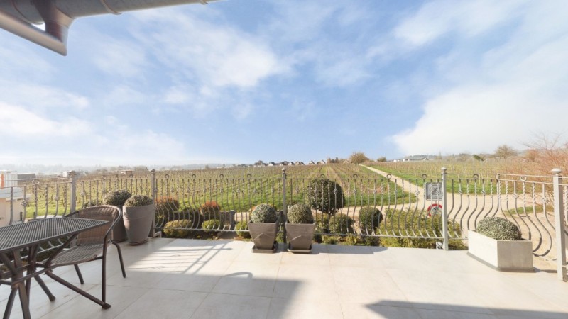 DG Gro�e Dachterrasse Doppelhaush�lfte Oestrich-Winkel