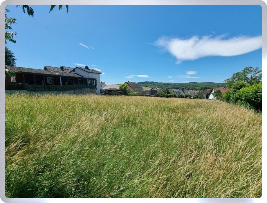 Derzeit Wiese Wohngrundst�ck Geisenheim