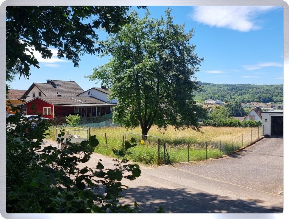 Stra�enansicht Wohngrundst�ck Geisenheim