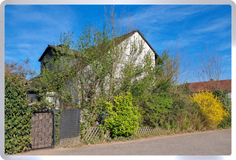 Stra�enansicht Expos� Einfamilienhaus Oestrich-Winkel