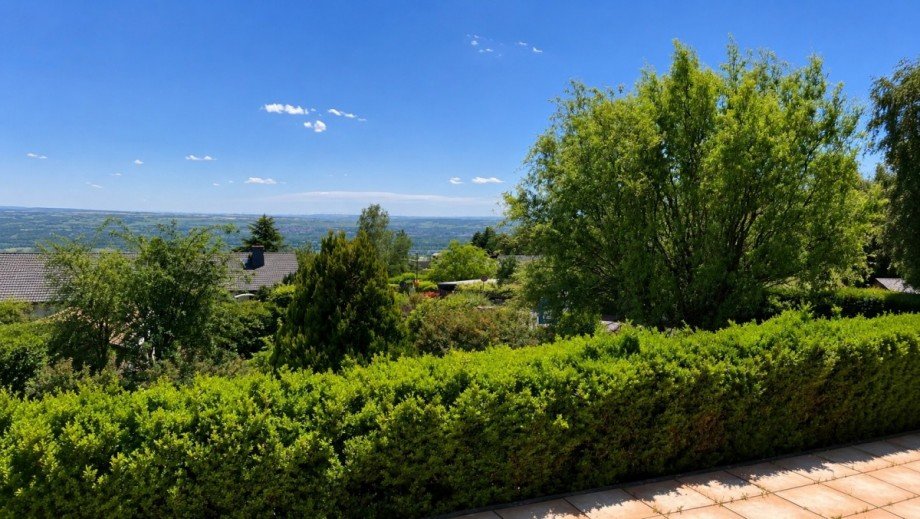 Aussicht Terrasse Einfamilienhaus Oestrich-Winkel