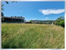 Derzeit Wiese Ruhige Familienidylle am Waldrand - Gro�es Baugrundst�ck in Geisenheim-Stephanshausen