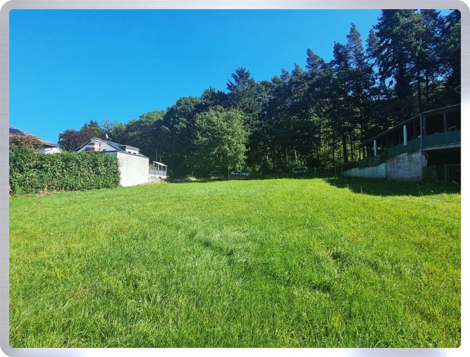 Blick Richtung Wald Wohngrundst�ck Geisenheim