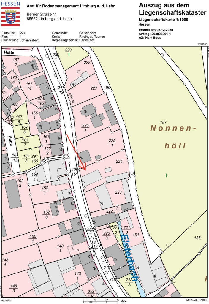 Katasterauszug Wohnung Geisenheim