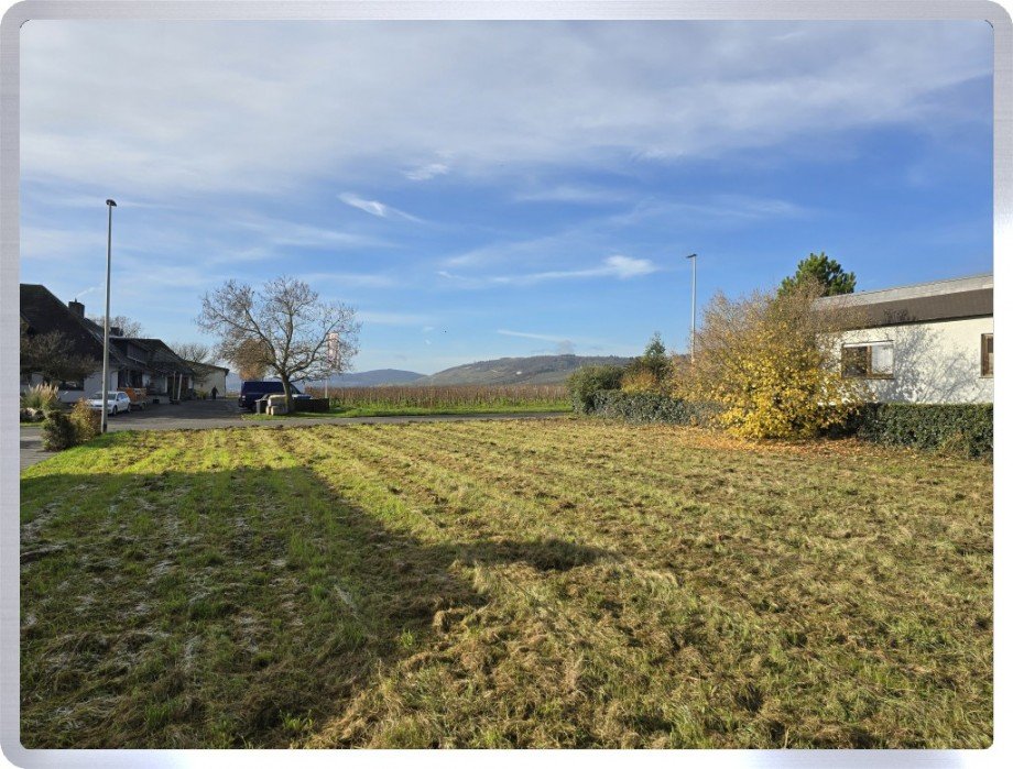 Ausblick Wohngrundst�ck Geisenheim