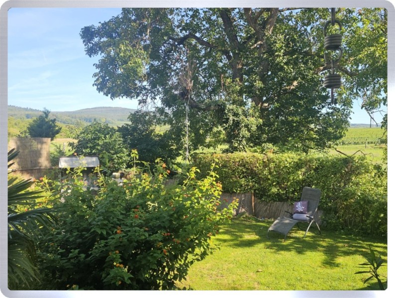 Gartensicht Einfamilienhaus Oestrich-Winkel